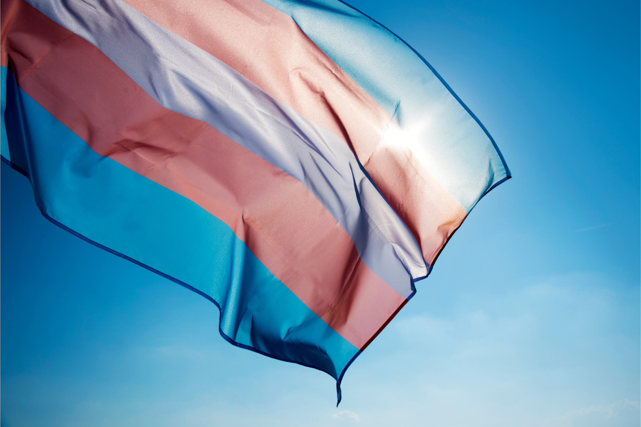 Transgender flag
