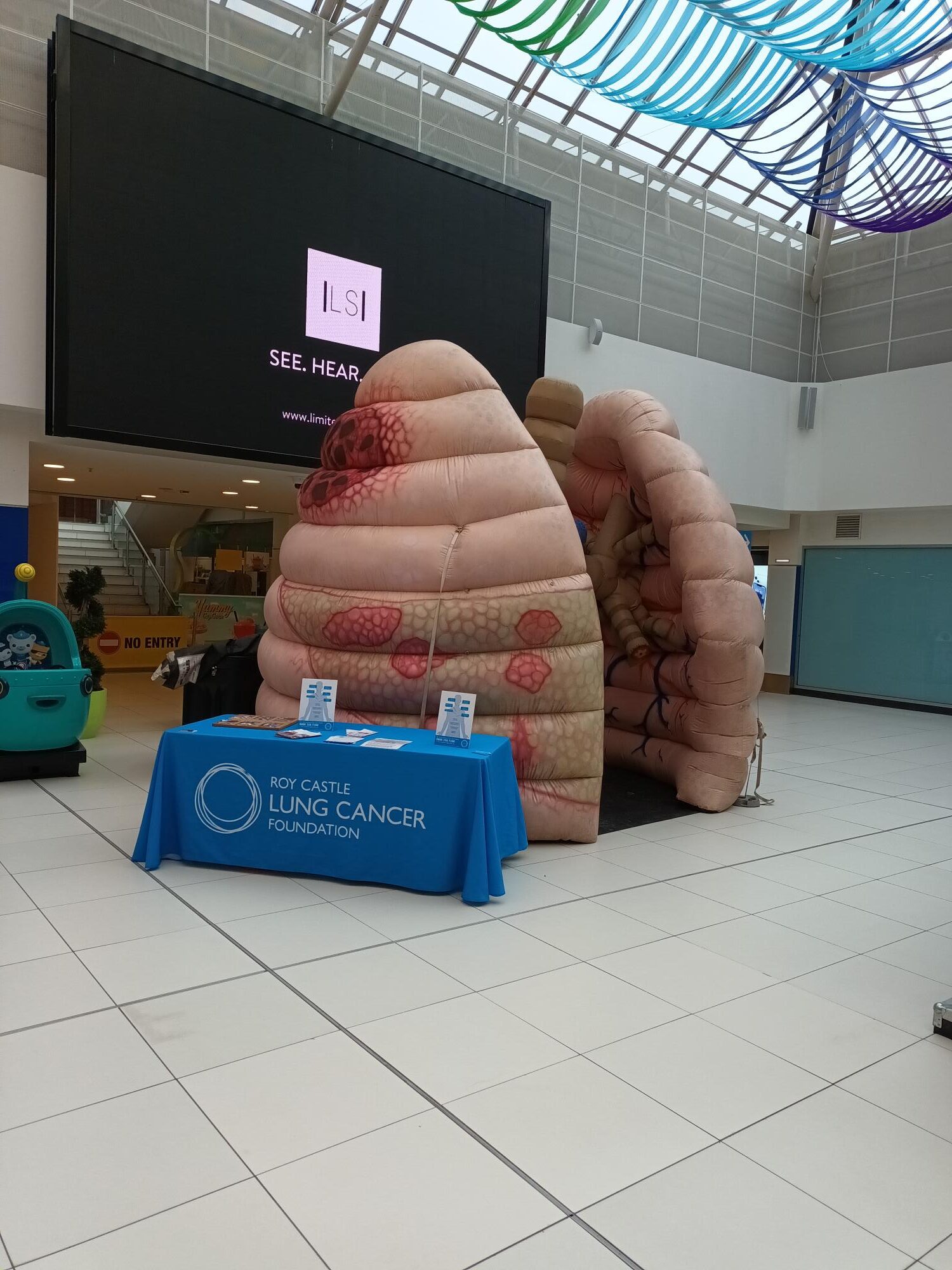Picture of inflatable lungs